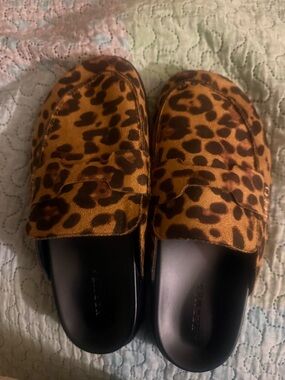 EGO Leopard Print Mule Clogs in Brown and Black
